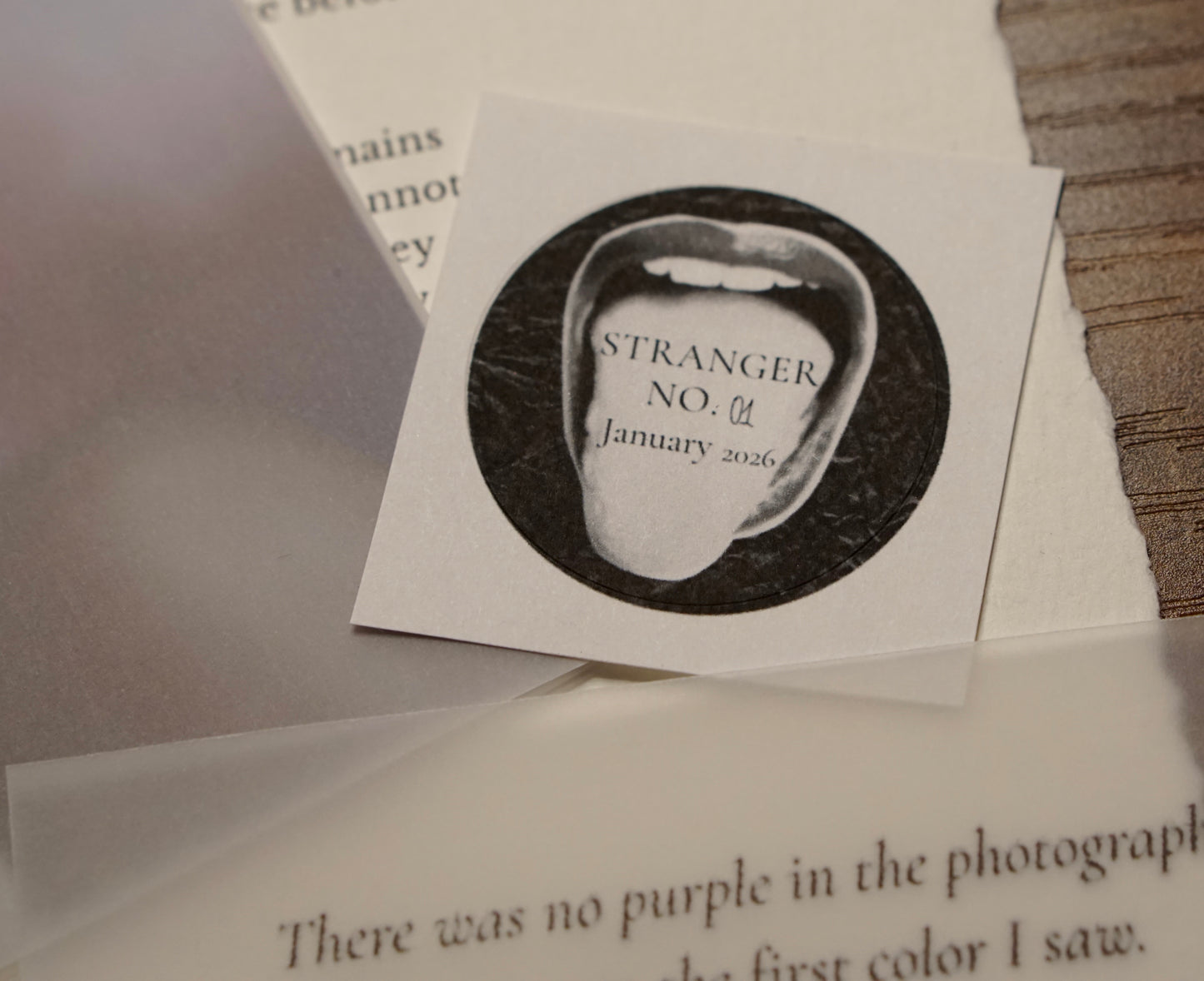 STRANGER NO.__ - Monthly Print Club